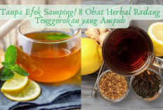 Tanpa Efek Samping! 8 Obat Herbal Radang Tenggorokan yang Ampuh