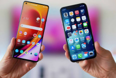 Merapat! Perusahaan Yogurt Beri Hadiah Rp 156 Juta, Syarat cuma Lepas Smartphone dalam Sebulan, Mau Coba?