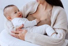 Berikut 10 Makanan Penyokong Kelancaran ASI, Jaga Kesehatan dan Nutrisi Ibu Menyusui!