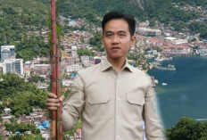 Benarkah Gibran Bakal Berkantor di Papua? Begini Faktanya