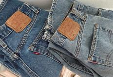 Celana Jeans Levi’s, Model Ikonik 501 hingga Slim Fit dan Harganya