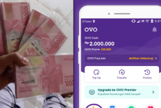 7 Cara dapat Saldo OVO Gratis 2024 Bisa Klaim Rp2 Juta dari Game Anak-anak, Cocok untuk Semua Umur Juga Lho!