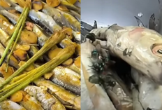 Awas! Ikan Pindang Bandeng Beracun Beredar di Pasaran, Ini Ciri-Cirinya