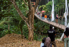Jembatan Pongpet Ambruk Saat Diresmikan, Warganet Heboh!