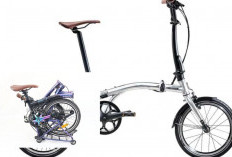 Battle Lipatan Ringkas vs Harga Ramah! United Trifold 7 vs Polygon Urbano 2, untuk Pelajar Worth it yang Mana?