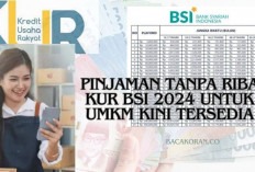 Bersiaplah! Pinjaman Tanpa Riba KUR BSI 2024 untuk UKMK Kini Tersedia, Yuk Cek Syaratnya di Sini...