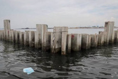 Heboh Muncul Pagar Beton di Cilincing, Gubenur DKI Ungkap Sudah Kantongi Izin: Tak Bisa Apa-apa 