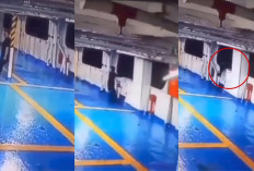 Rekaman CCTV Viral, Penumpang Feri Andreas Lingsing Lompat ke Laut Merak, Status Korban Belum Ditemukan