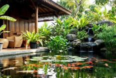 8 Model Kolam Ikan di Teras Rumah Minimalis: Bebas Bau Amis, Air Tetap Jernih