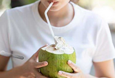 Manfaat lain Air Kelapa: Minuman Ajaib yang Menjadi Penawar Racun dan Herbisida Alami