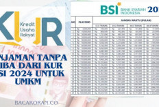 Peluang Emas, Pinjaman Tanpa Riba dari KUR BSI 2024 untuk UMKM, Cek Syarat Pengajuan dan Keuntungannya di Sini