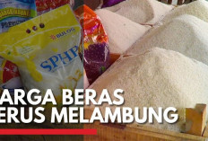 Harga Beras Terus Melambung, I Gusti Ketut Astawa Buka Suara
