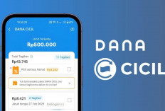 Mengapa Limit Dana Cicil Bisa Terkunci dan Bagaimana Cara Memulihkannya, Yuk Cek Disini! 