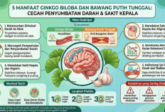 5 Manfaat Ginkgo Biloba dan Bawang Putih Tunggal  Cegah Penyumbatan Darah & Sakit Kepala