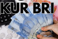 KUR BRI Hadir dengan Cicilan Mulai Rp800 Ribu per Bulan untuk Modal Usaha Besar, Cek Syarat & Keuntungannya!