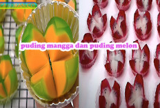 Modal Ekonomis yang menguntungkan resep dua puding yang viral dan lezat