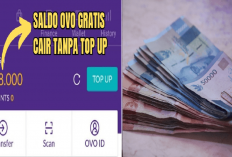 Cek Nama Kamu Disini Siapa Tau dapat Rp548.000 dari Game Penghasil Saldo OVO, Udah Ga Perlu Top Up Lagi Moms!