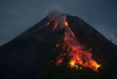 Pertanda Apakah Ini, Gunung Merapi Kembali Erupsi, BPBD Minta Warga Jangan Panik