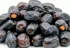 Kurma Sumber Energi dan 10 Manfaat Kesehatan yang Perlu Kamu Ketahui!