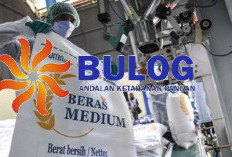 Bulog Bakal ‘Naik Kelas’, Jadi Badan Khusus! Ini Alasan Pemerintah!