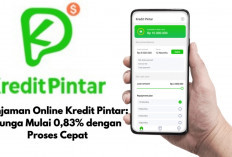 Pinjaman Online Kredit Pintar: Solusi Pinjaman Cepat dengan Limit Rp20 Juta dan Tenor 12 Bulan