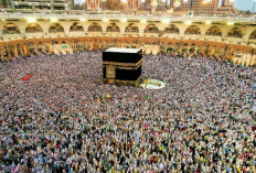 Bingung ! Kuota Haji Nambah, Biaya Diusulkan Naik, Petugas Malah Dikurangi 50 Persen Lebih