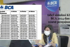 Pinjam KUR BCA 20 Juta Cicilan Cuma 300ribuan? Menarik Nih! Yok Gais Cek Syarat dan Tabel Simulasinya Disini..