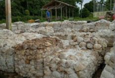 Wow Harga Karet Tembus Rp 22 Ribu per Kg, Berikut Harga Detailnya!