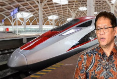 Top! Purbaya Akhirnya Dilibatkan Negosiasi Utang Kereta Cepat Whoosh ke China!