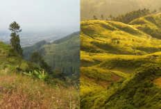 2 Wisata Alam Tersembunyi di Pemalang yang Bikin Takjub! Bukit Gambangan & Bukit Janglangas