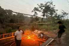 Polisi Datang, Gelanggang Judi Sabung Ayam Lengang,Langsung Dibongkar dan Dibakar