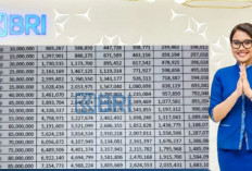 Cuma Cicil Rp146 Ribu Perbulan, Dapat Pinjaman Rp250 Juta dari BRI Non KUR 2025! Cek Tabel Angsuran Edisi Mei 