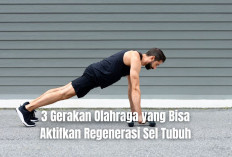 Dijamin Bugar! 3 Gerakan Olahraga ini Bisa Aktifkan Regenerasi Sel Tubuh, Bisa Dilakukan di Rumah