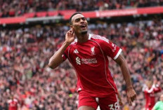  Bukan Declan Rice atau Caicedo, Inilah Gelandang Bertahan Terbaik di Liga Inggris 