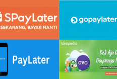 Benarkah Wanita Lebih Suka Belanja Dibanding Pria? Data Paylater Ini Ungkap Faktanya!