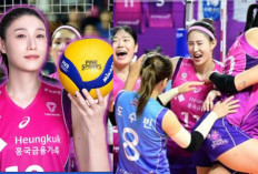 Update Top Skor Liga Voli Korea Hari ini, Pink Spiders Kokoh di Puncak Klasemen, Hi-Pass Terpuruk!