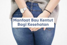 Jangan Malu! 3 Manfaat Bau Kentut Bagi Kesehatan, Kenapa? Yuk Simak Faktanya