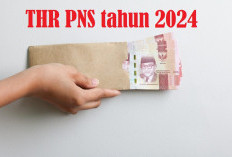 Ternyata THR PNS Pusat dan Daerah Beda, Begini Rinciannya Diatur dalam PP Nomor 14 tahun 2024!