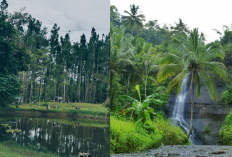 2 Wisata Alam di Kebumen yang Wajib Kamu Kunjungi, Bikin Liburan Makin Seru!