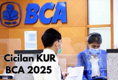 Cek Cicilan KUR BCA 2025 Rp100–Rp500 Juta, Tenor Fleksibel hingga 5 Tahun