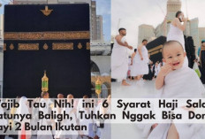 Wajib Tau Nih! ini 6 Syarat Haji Salah Satunya Baligh, Tuhkan Nggak Bisa Dong Bayi 2 Bulan Ikutan