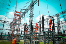 Cek! Daftar Tarif Listrik per kWh Terbaru Desember 2023