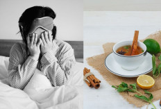 Efektif Atasi Insomnia, Ini 5 Teh Herbal untuk Tidur Lebih Nyenyak Beserta Cara Penyajiannya!