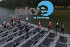 Perusahaan Panel Surya Rugi Rp 60 Miliar Gegara Eks Dirut, Begini Trik Liciknya!