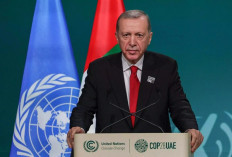  Hemm, Mengapa Turki Menolak Rencana 'Zona Penyangga' untuk Gaza?