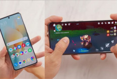 iPhone Minggir Dulu, Rekomendasi HP Murah Layar AMOLED Mulai Rp2 Jutaan: Cocok Buat Gaming dan Konten