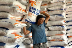 Rahasia Pemerintah Bikin Stok Cadangan Beras Meledak, Cetak Rekor Tembus 4 Juta Ton!