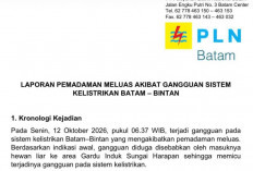 Listrik Padam Total di Batam-Bintan: Indikasi Awal PLN, Hewan Liar Picu Gangguan Gardu