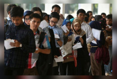 Kabar Gembira! Pemerintah Siapkan 3,6 Juta Lapangan Kerja Baru, Ini Detail Programnya