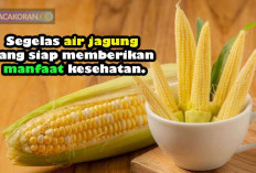 Banyak yang Belum Tahu, Ini Manfaat Air Jagung Buat Penderita Kronis